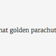 Illustration for article titled Comment Of The Day: Golden Parachute Edition